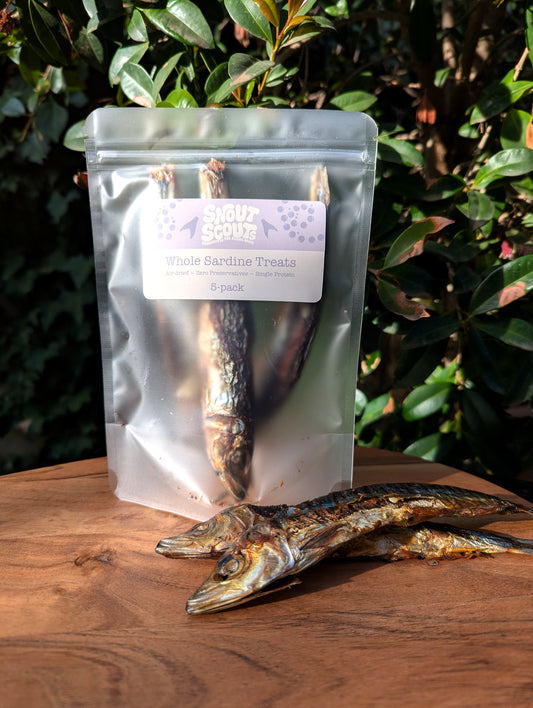 Whole Sardine Treats