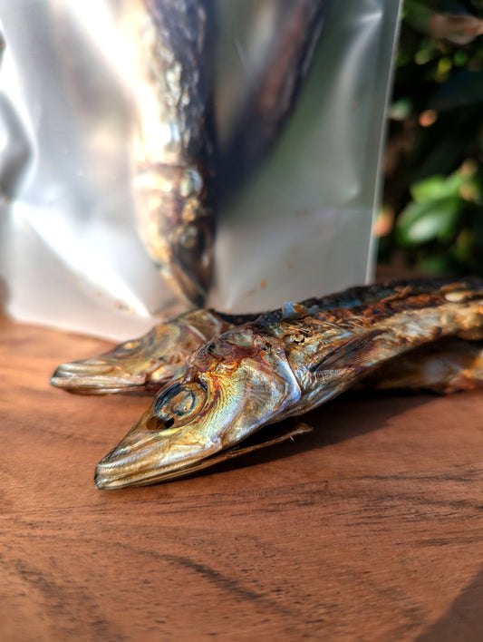 Whole Sardine Treats