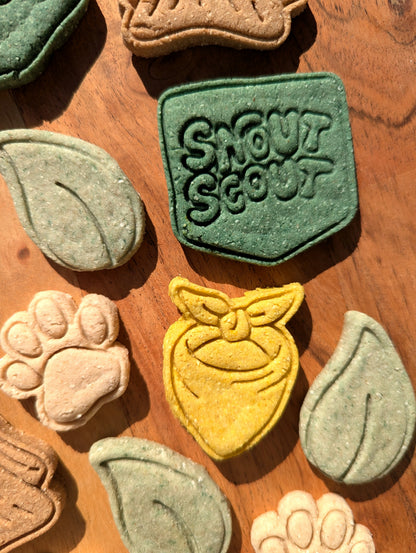 Snout Scouts Biscuits
